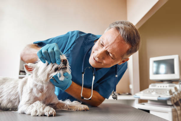 Best Urgent Care for Lost Fillings or Crowns in Fort Polk North, LA